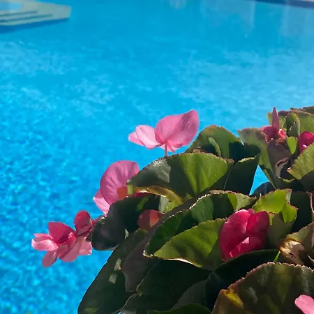 Paradiso Corfu Sea View With Pool In Apart-hotel